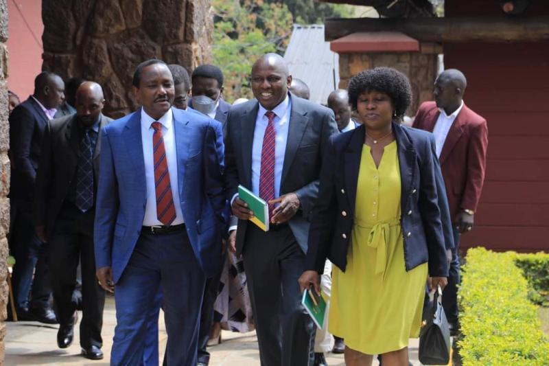 File image of Kalonzo Musyoka, Kimani Ichung'wah and Cecily Mbarire.